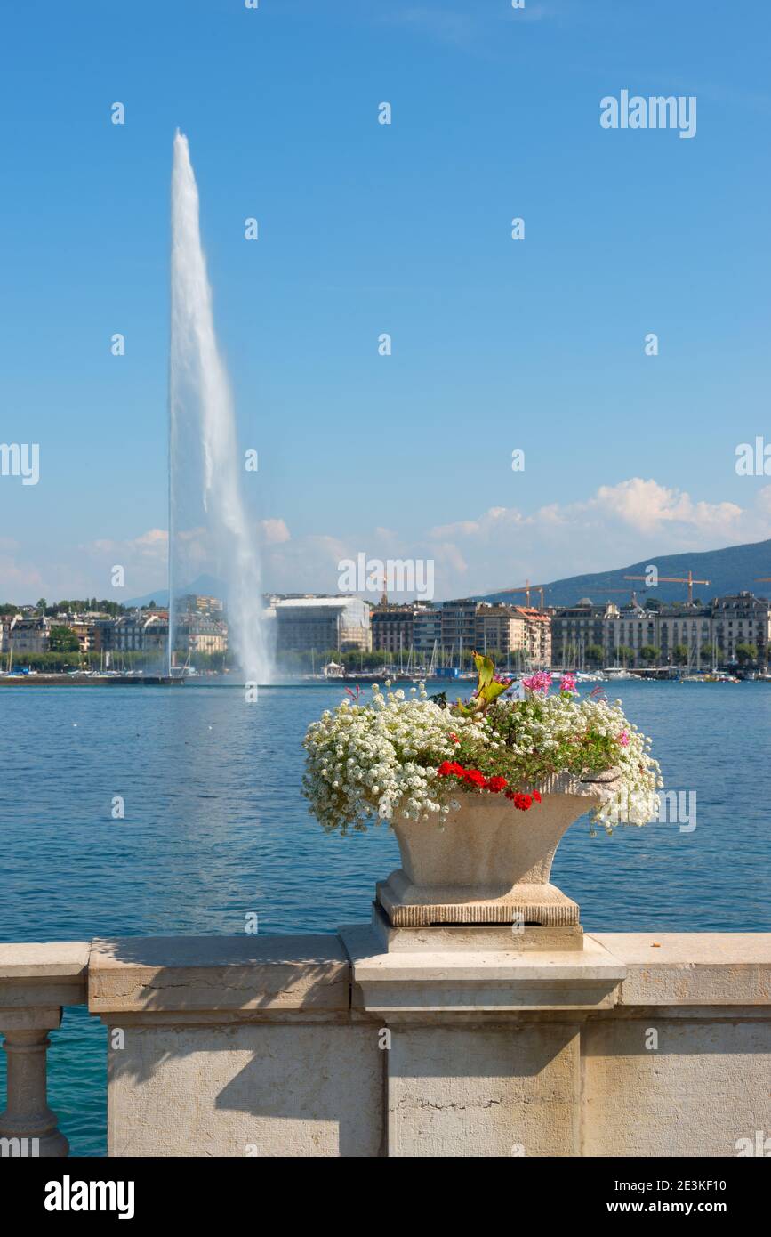 Blick auf Genf mit dem berühmten Jet d'Eau-Brunnen im Hintergrund und Blumen vorne im Hafenviertel an schönen sonnigen Tagen, Kanton Genf, Stockfoto