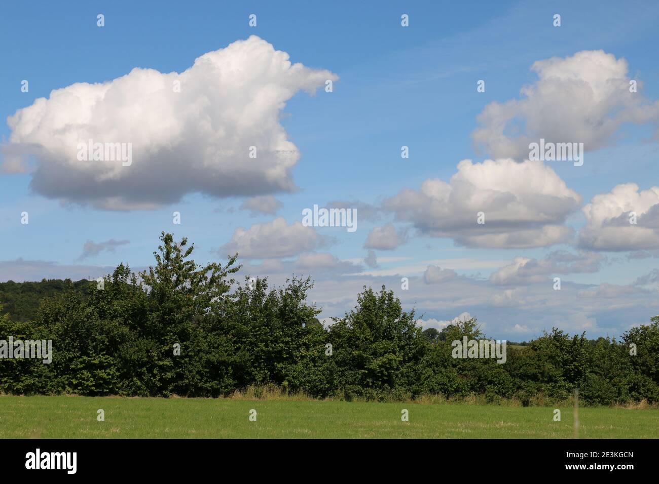Flauschige weiße Cumulus-Wolken in einem blauen Sommerhimmel über der Shropshire-Landschaft, Großbritannien Stockfoto
