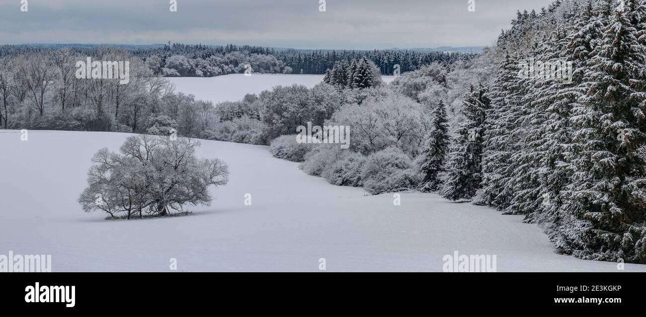 Winter im Schwarzwald sind die Wälder, Wiesen und Felder nun mit Schnee bedeckt. Stille liegt über dem Tal und schafft eine geheimnisvolle Atmosphäre Stockfoto