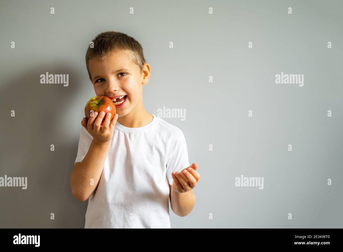 Junge ohne Milch Oberzahn in weißem T-Shirt hält einen Apfel in der Hand auf dem grauen Hintergrund. Stockfoto