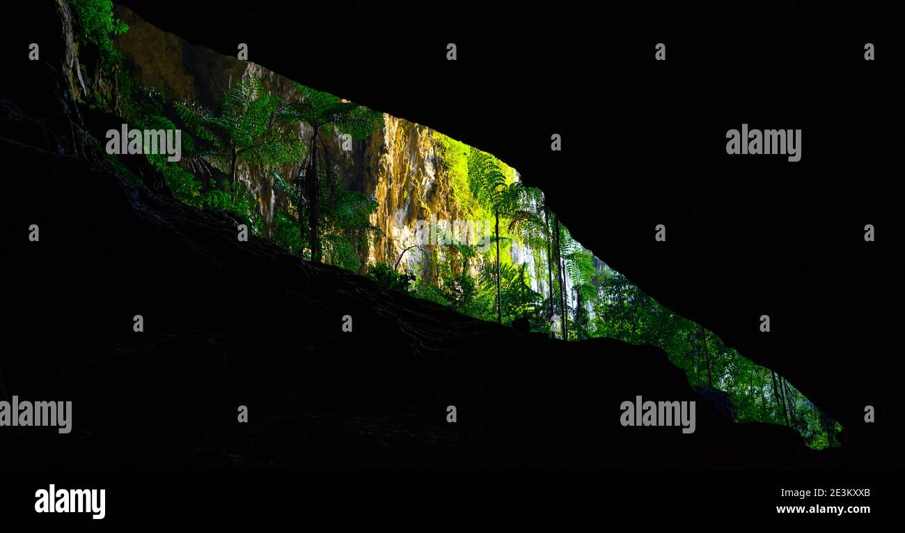 Deer Cave öffnet sich Stockfoto