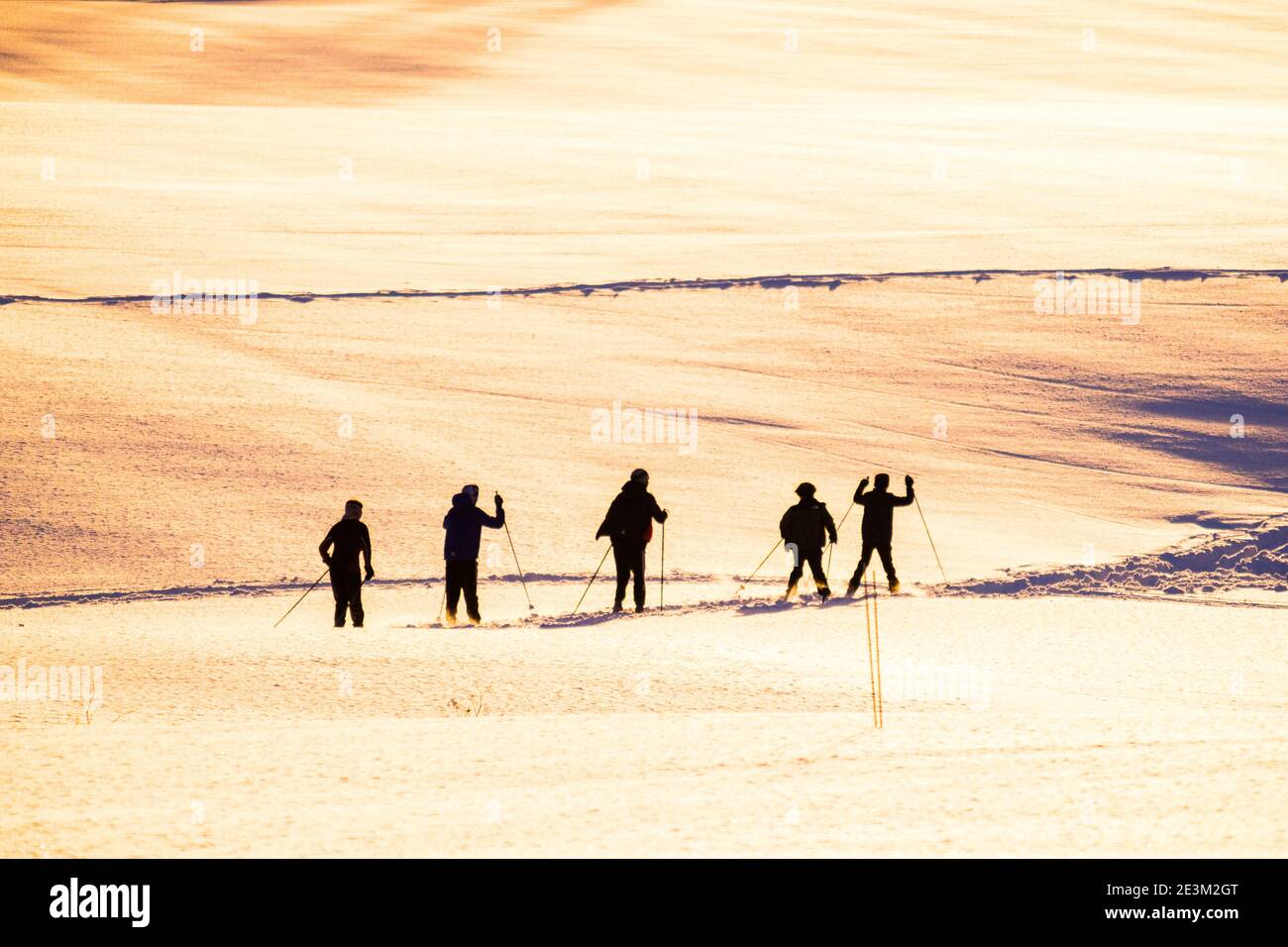 Die Schüler einer Mittelschule Langlauf-Programm Silhouetten auf einem Bauernhof in East Montpelier, VT, USA, New England. Stockfoto