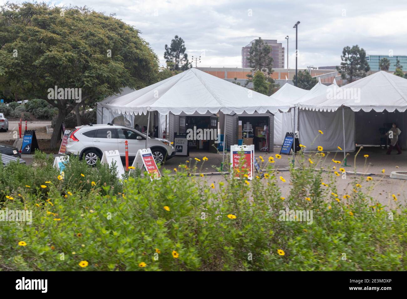 La Jolla, Kalifornien, USA. 19. Januar 2021: Eine COVID-19-Testklinik im UCSD Medical Center in La Jolla, CA am Dienstag, 19. Januar 2021. Hawaii-Reisetests sind nicht mehr verfügbar. Kredit: Rishi Deka/ZUMA Wire/Alamy Live Nachrichten Stockfoto