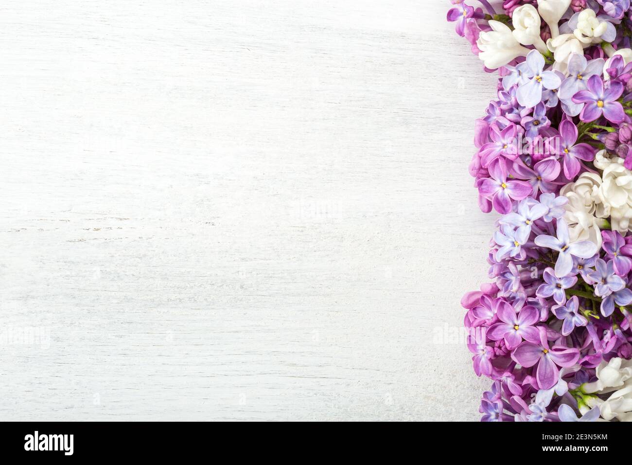 Verschiedene kleine Blüten von Lilac auf dem weißen Holz schäbigen Hintergrund. Blumenbordüre. Flach liegend. Stockfoto