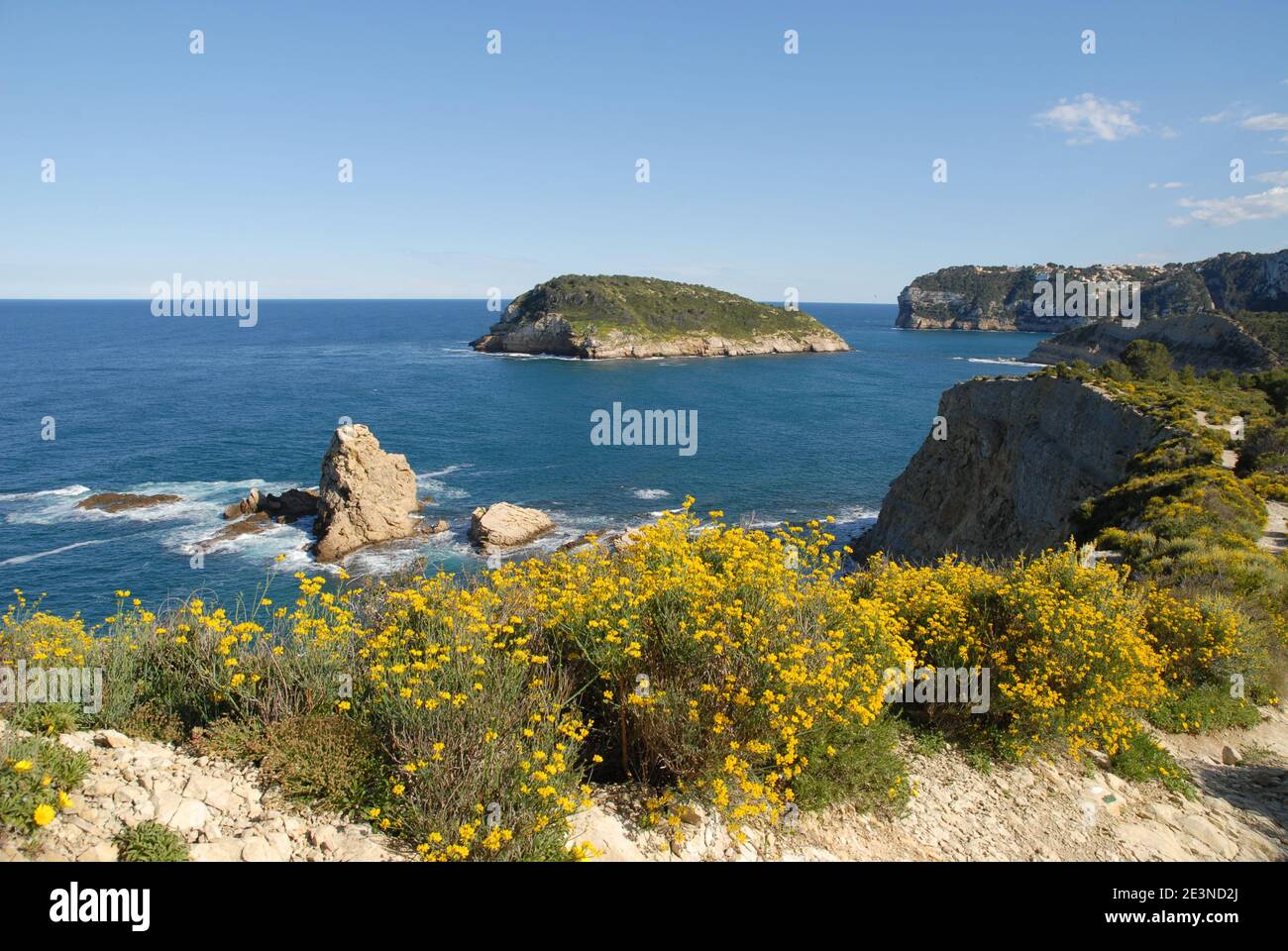 Wildblumen am Küstenweg von Cap Prim zur Insel Portichol an der Costa Blanca, Javea, Alicante, Spanien Stockfoto