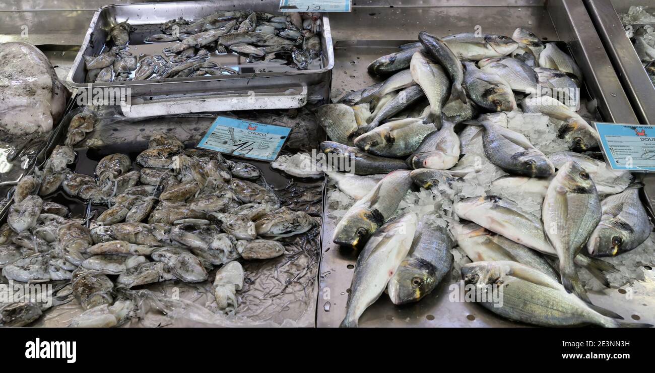 Fischstand, Loule Markt, Faro Bezirk, Algarve, Portugal Stockfoto