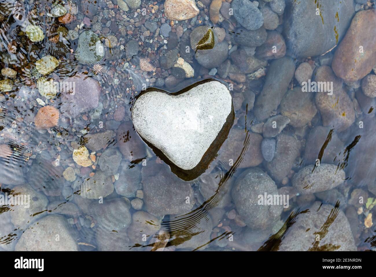 Schöner herzförmiger Stein im Flusswasser. Valentinstag Feier Hintergrund Stockfoto