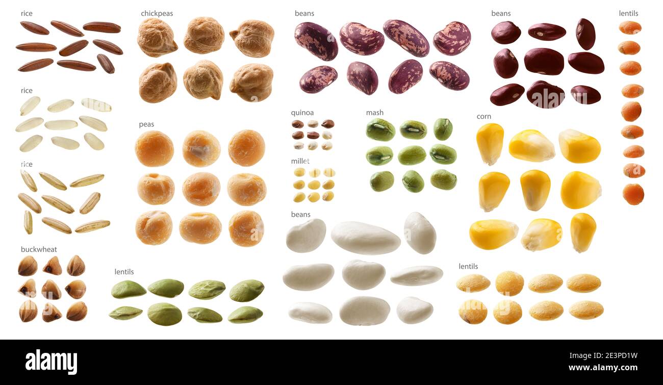 Große Auswahl an verschiedenen Getreidearten auf weißem Hintergrund Stockfoto
