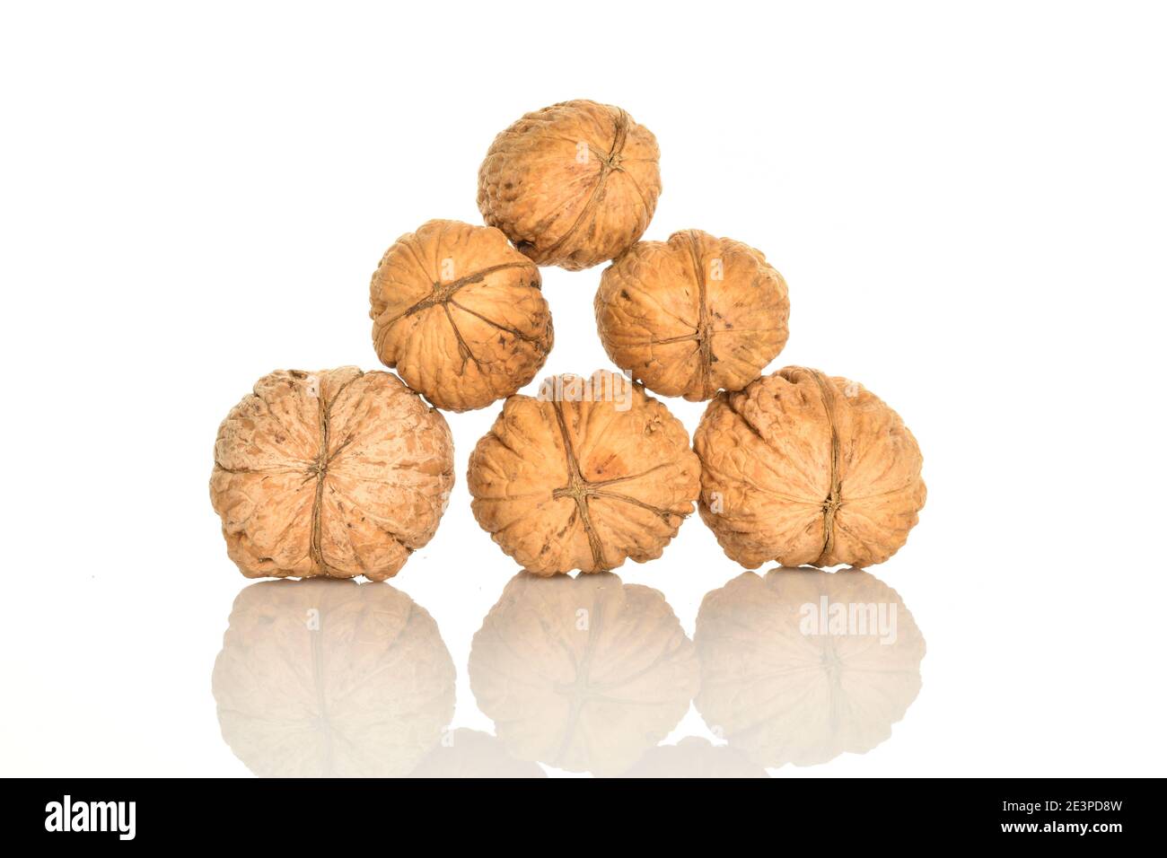 Sechs ganze dunkelbraune Bio-Walnüsse sind übereinander angeordnet, in einer Pyramide, auf weißem Hintergrund. Stockfoto