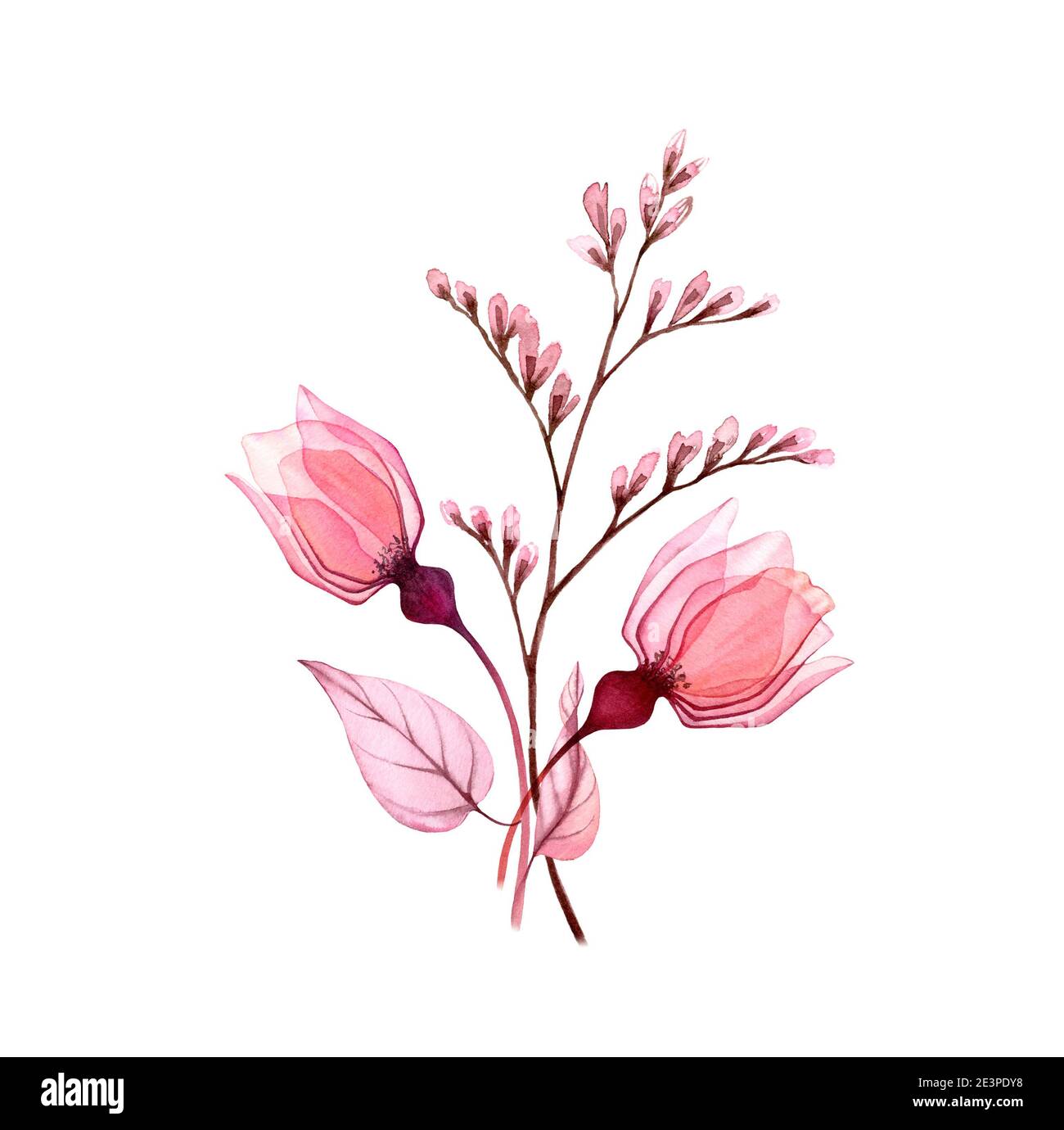 Wasserfarbener Herbststrauß. Transparente rosa Rosenknospen mit Zweig isoliert auf weiß. Handbemalte Vintage-Kunstwerke. Botanische Illustration für Karten Stockfoto