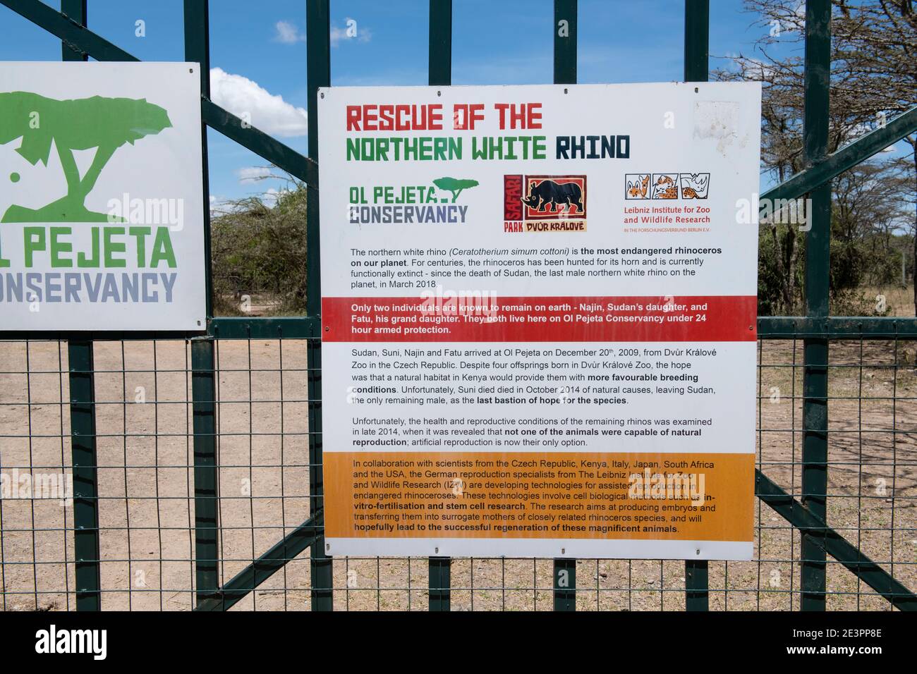 Afrika, Kenia, Laikipia Plateau, Ol Pejeta Conservancy, Heimat der letzten 2 vom Aussterben bedrohten Nördlichen weißen Nashorn. Eingezäunter Schutzbereich. Stockfoto