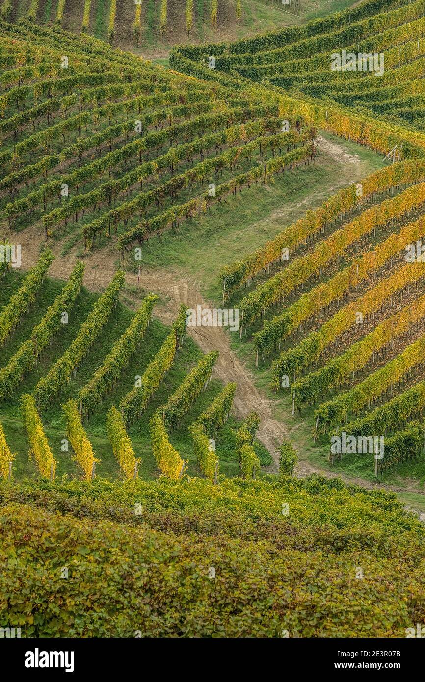 Italien Piemont die Langhe sind einer der wunderbaren Orte Italiens und gehört zum UNESCO-Weltkulturerbe. Stockfoto