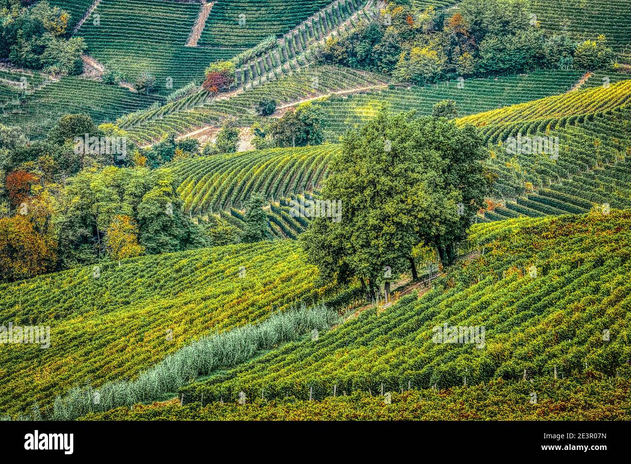 Italien Piemont die Langhe sind einer der wunderbaren Orte Italiens und gehört zum UNESCO-Weltkulturerbe. Stockfoto