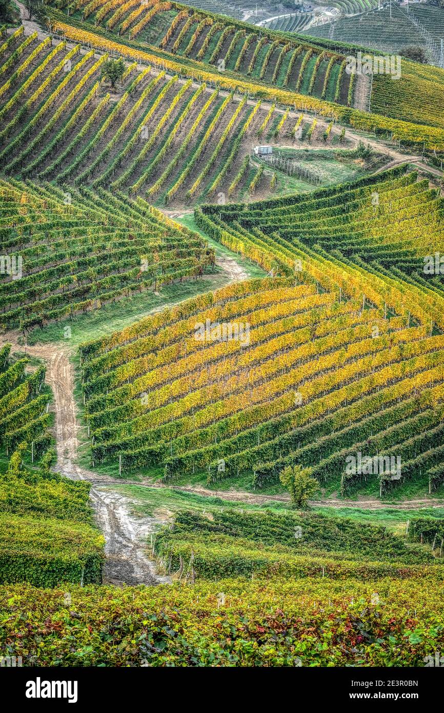 Italien Piemont die Langhe sind einer der wunderbaren Orte Italiens und gehört zum UNESCO-Weltkulturerbe. Stockfoto