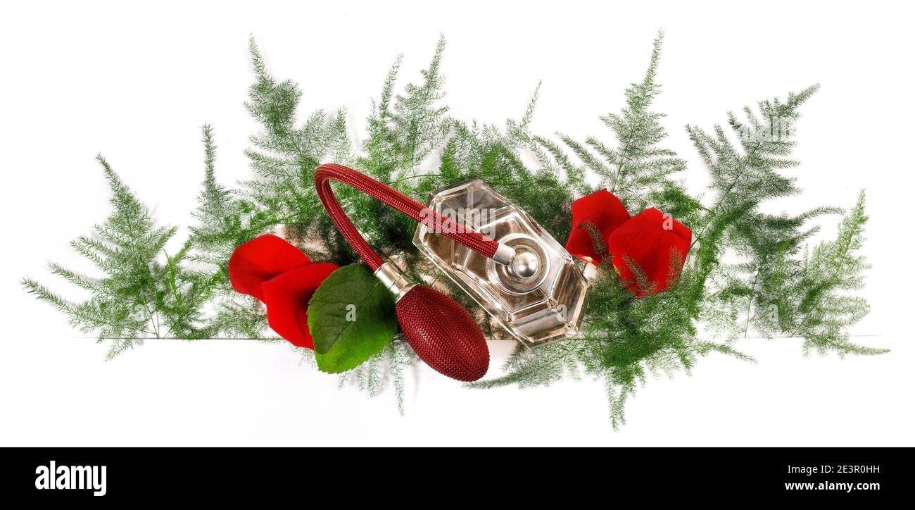 Valentinstags-Banner mit Fern, Parfum und Rosenblättern Panorama isoliert auf weißem Hintergrund Stockfoto