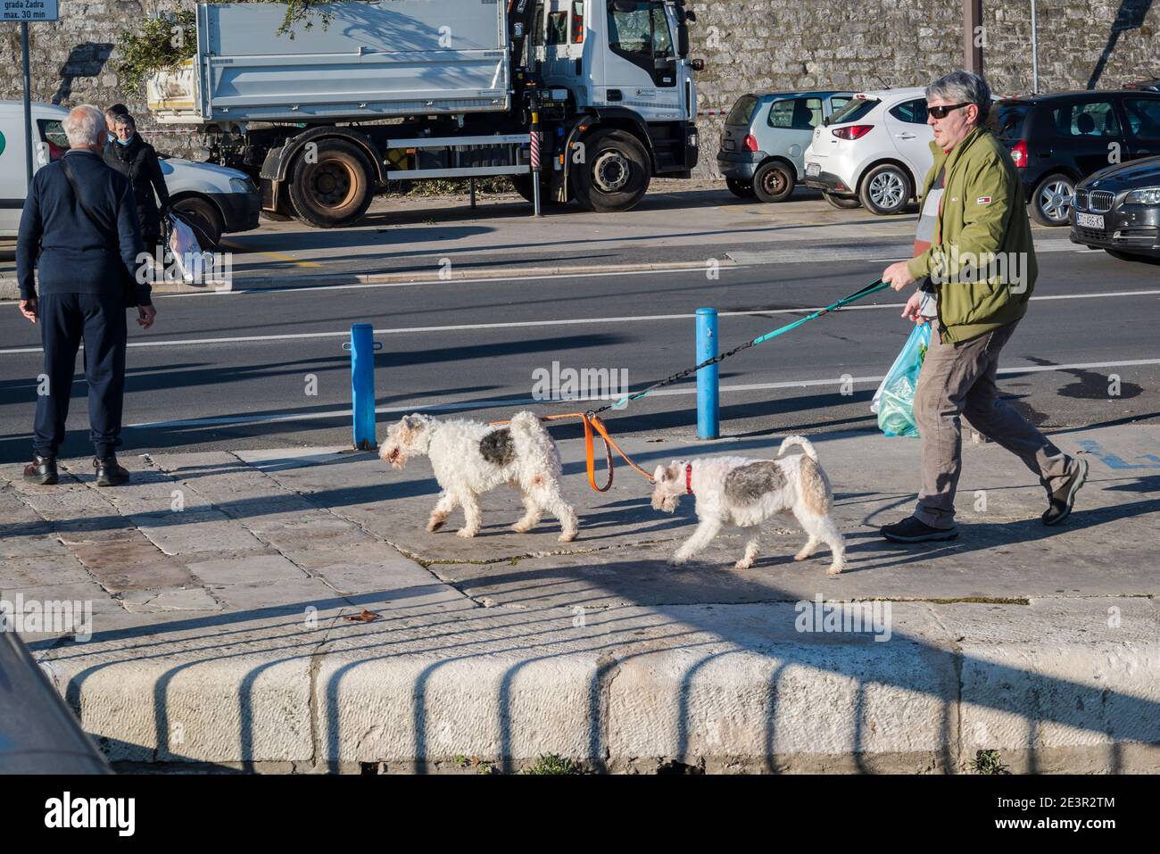 Mann zu Fuß zwei Hunde, Zadar, Dalmatien, Kroatien Stockfoto