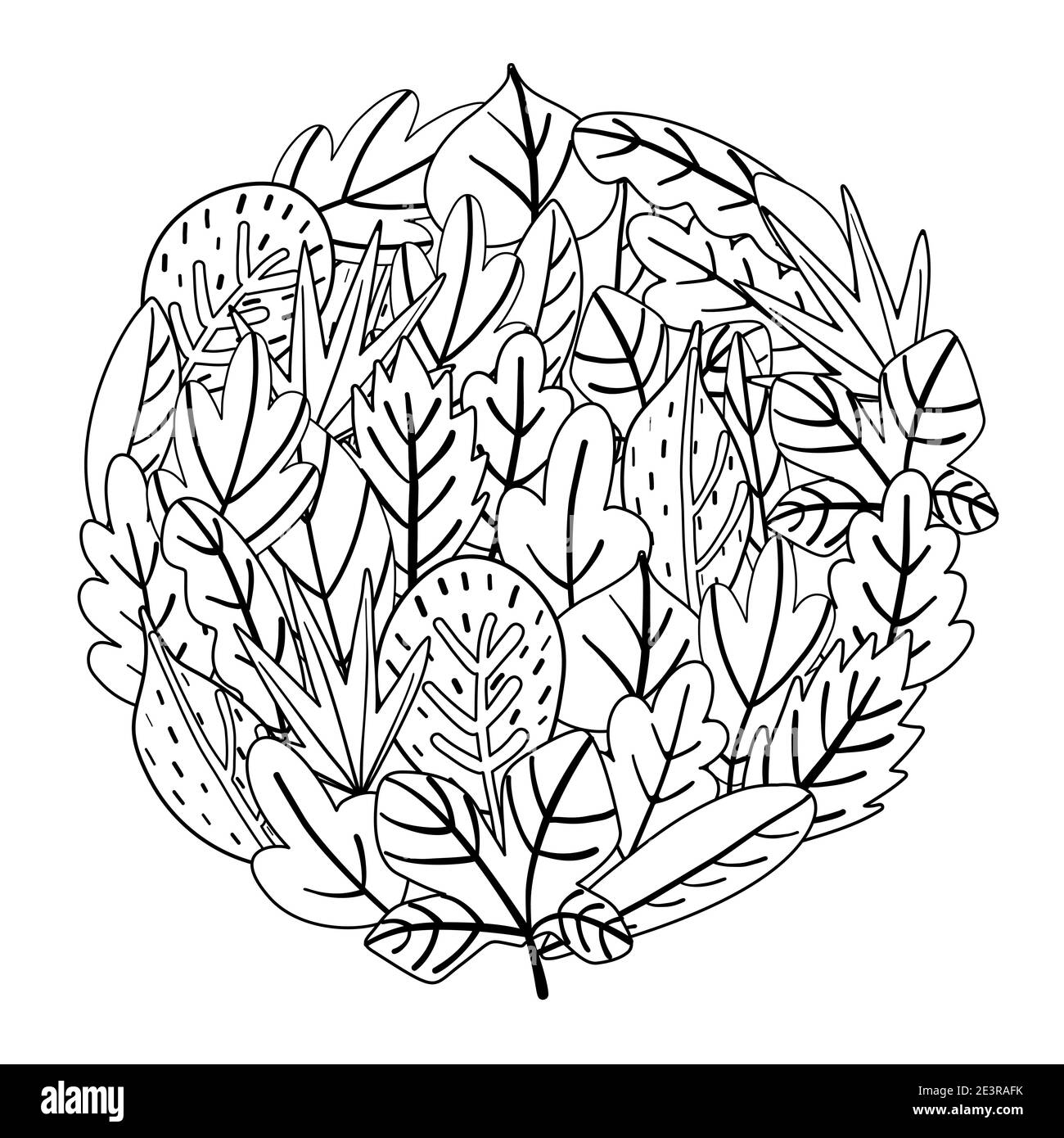 Circle Form Malseite mit Doodle Blätter. Schwarz-Weiß-Blumendruck Stock Vektor