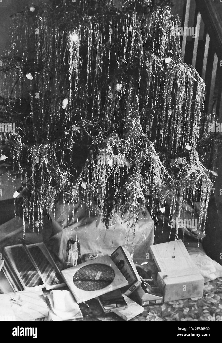 Ein Vintage Schwarz-Weiß Foto von einem Weihnachtsbaum Mit geöffneten Geschenken unter ihm aus den 1950er Jahren Stockfoto