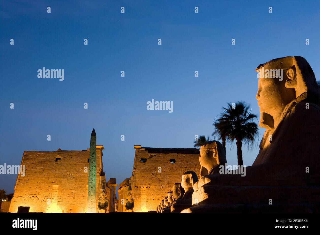 Nordafrika Ägypten Luxor am Nil Luxor Tempel die Avenue der Sphinx Sphinx Sonnenuntergang beleuchtet nachts Stockfoto
