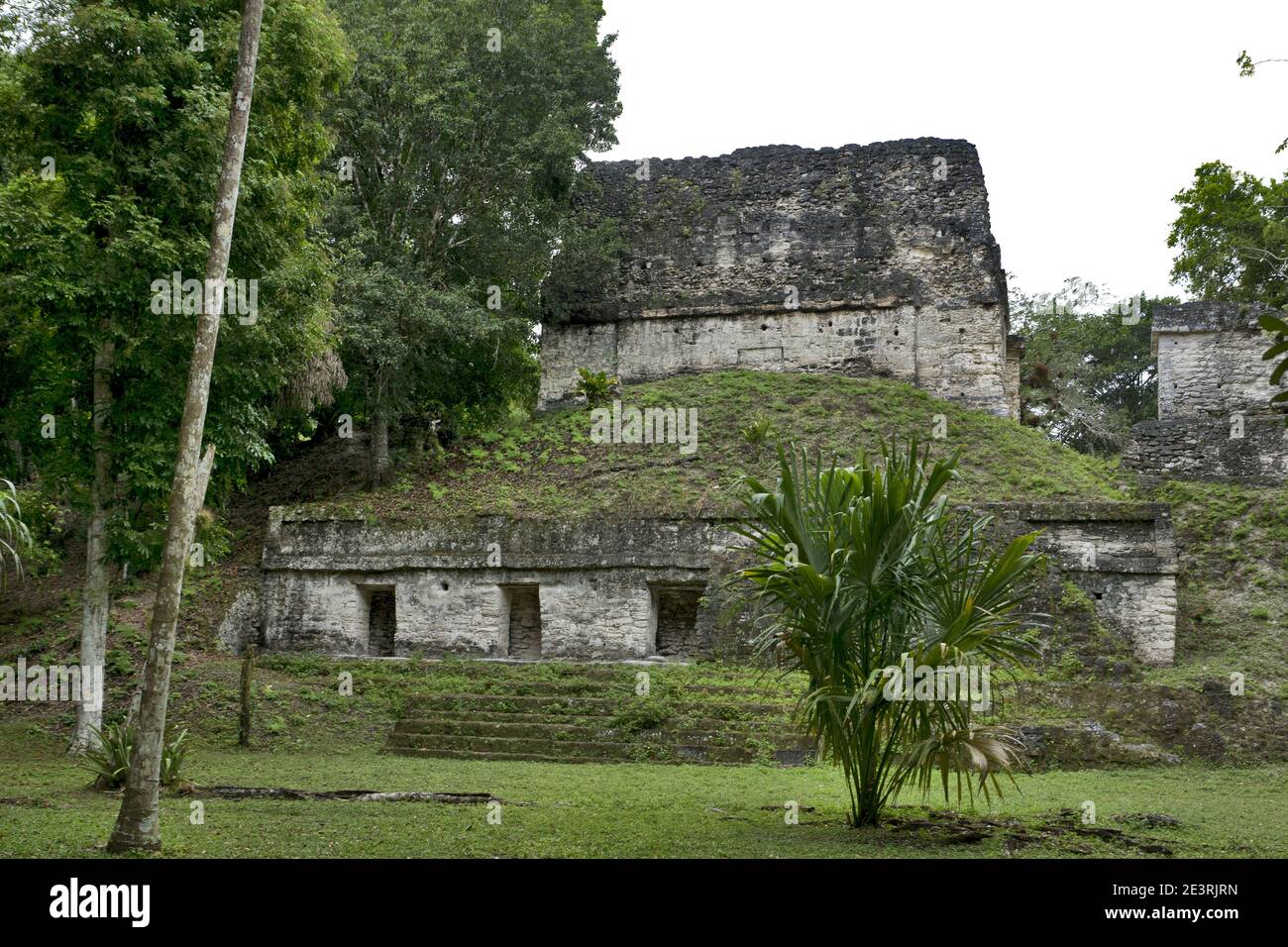 Tikal, Guatemala, Mittelamerika: Nationalpark, UNESCO-Weltkulturerbe. Maya Ruinen/Tempel/Pyramide Stockfoto