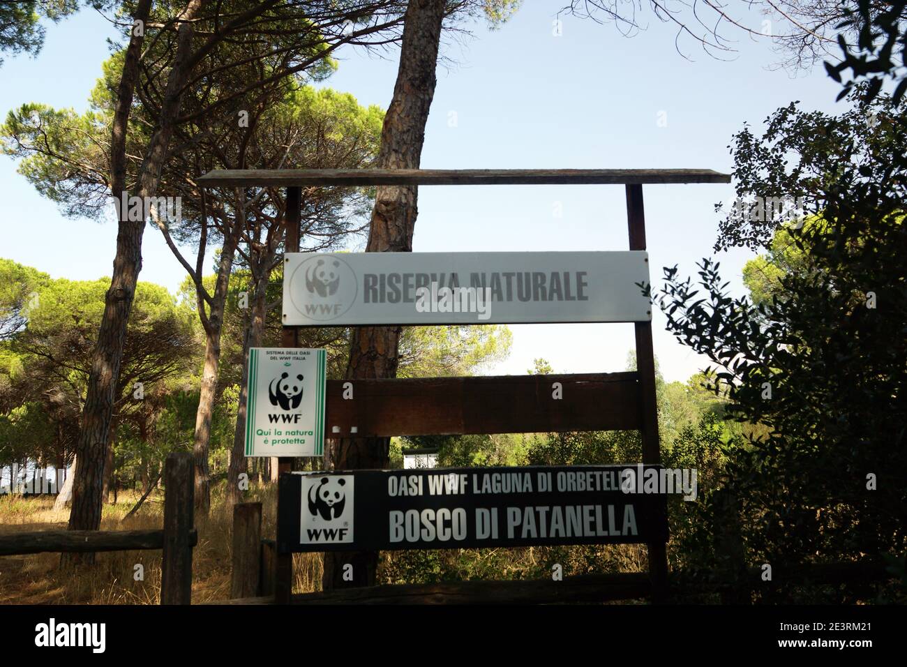 Laguna di Orbetello. Patanella Woods. Die WWF Oase von Orbetello ist die wichtigste Lagune des Tiyrrhenischen Meeres. Italien, Toskana, Grosseto Stockfoto