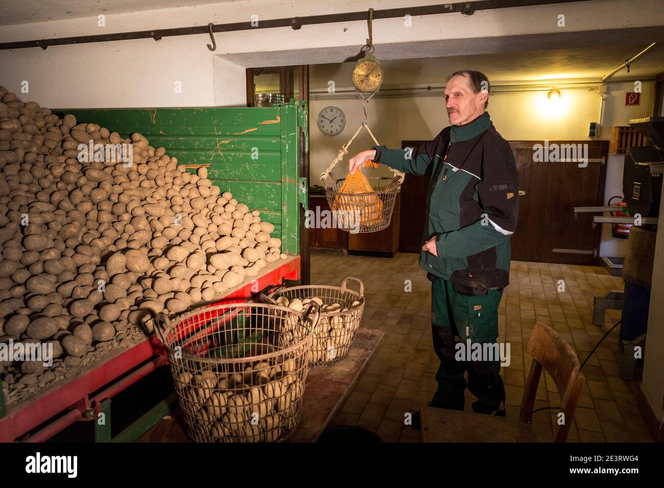 Karl Heinz Degen 70, hier mit Agnes Seibert, die Kartoffeln in der Scheune verpackt, wohnt im Seniorenheim auf dem Eifelhof in Marienrachdorf in Rheinland-Pfalz, wo die Senioren auch mit den Tieren in Kontakt kommen oder selbst am Hof arbeiten können. Stockfoto