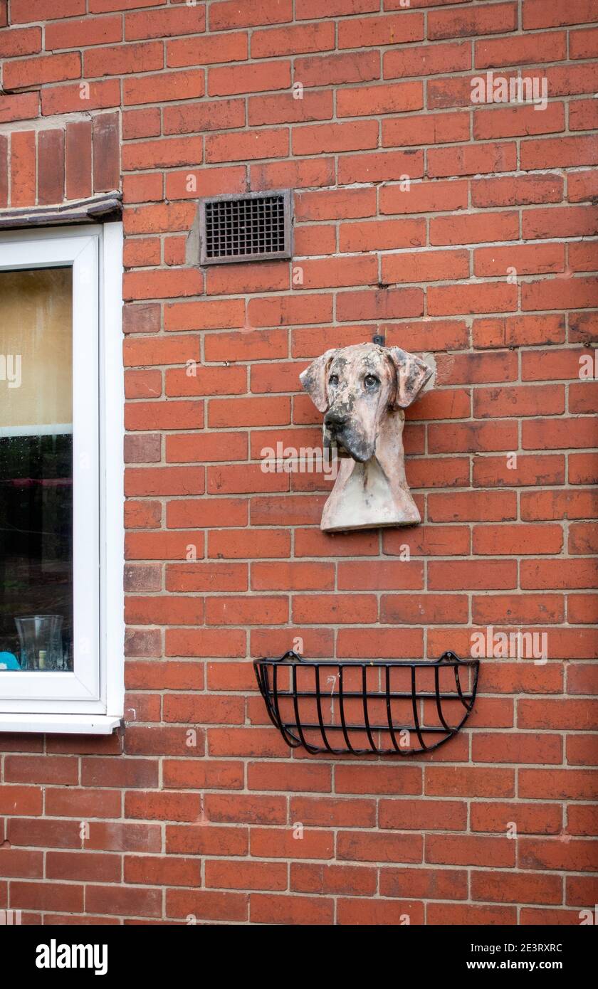 Keramikkopf eines Hundes auf einem Haus außen montiert Wand Stockfoto