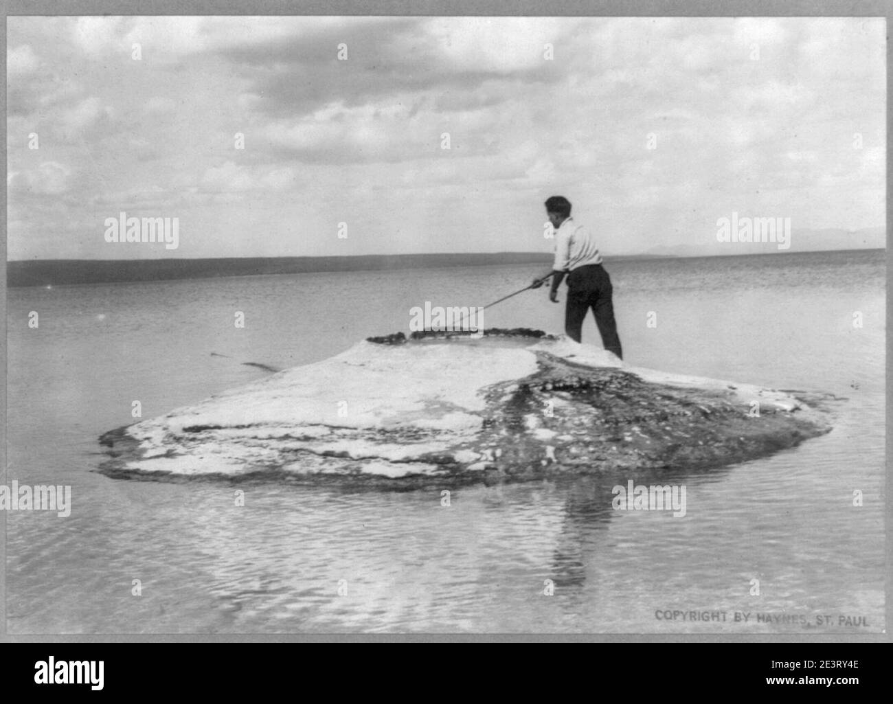 Man fliegen - Casting im Angeln Cove, Yellowstone Lake Stockfoto