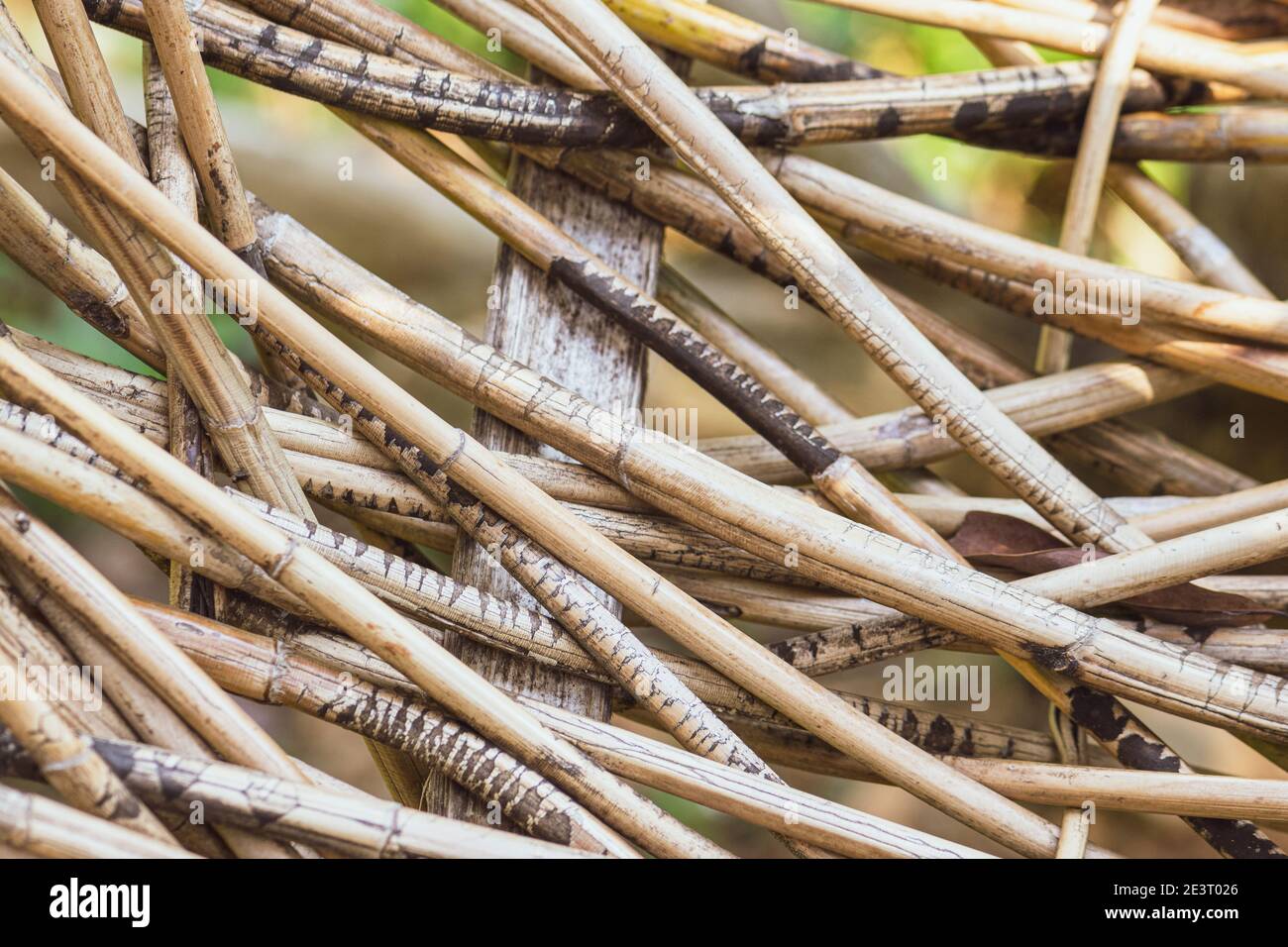 Abstrakter Hintergrund von trockenen und braunen Bambusstäbchen aus Holz Stockfoto
