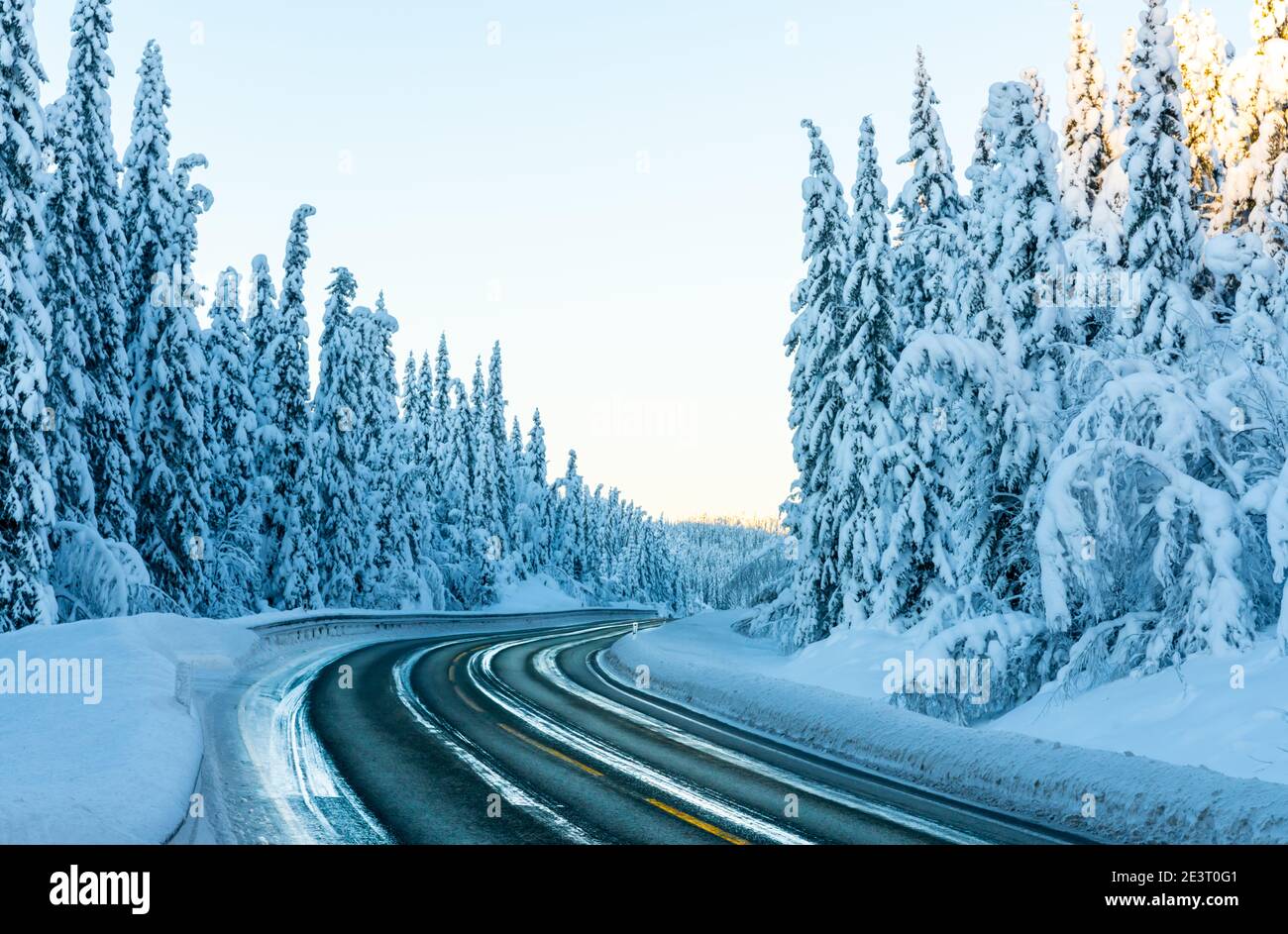 Vereister Highway durch einen Wald mit Kiefern, die mit schwerem weißen Schnee bedeckt sind. Stockfoto