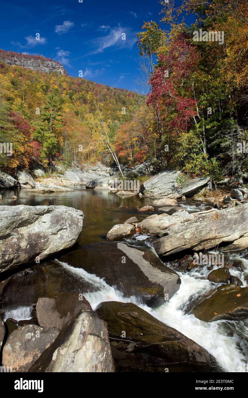 NC00287-00...NORTH CAROLINA - Linville River in der Linville Gorge Wilderness - Pisgah National Forest. Stockfoto
