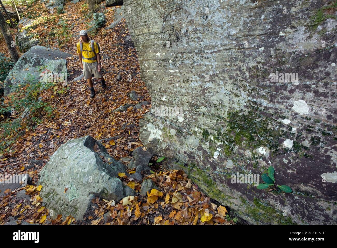 NC00299-00...NORTH CAROLINA - Wanderer auf dem Linville Gorge Trail #231 in der Linville Gorge Wilderness - Pisgah National Forest. Stockfoto