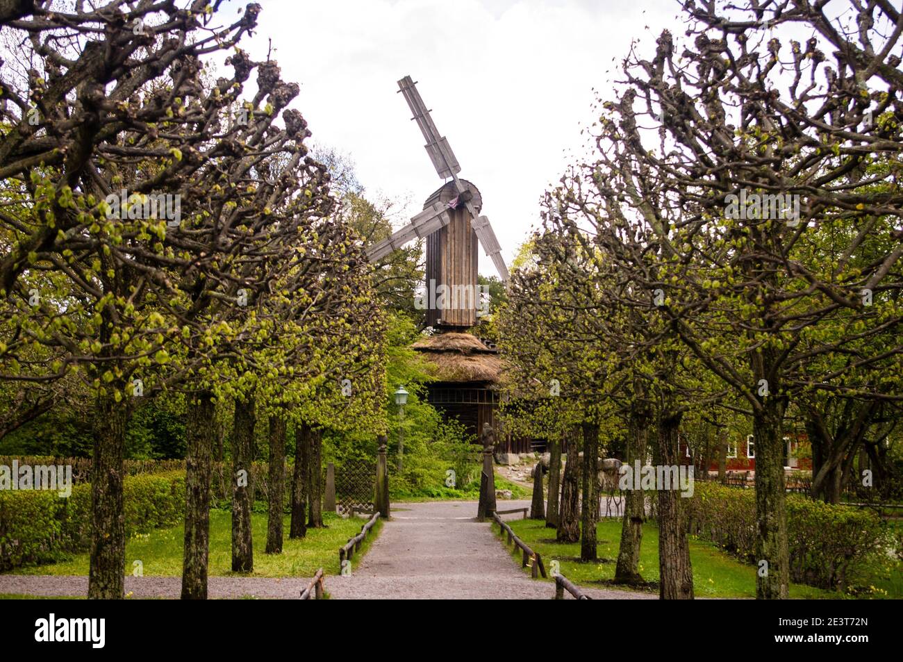 Weg zwischen grünen Bäumen mit einem alten historischen Holz Windmühle im Hintergrund Stockfoto