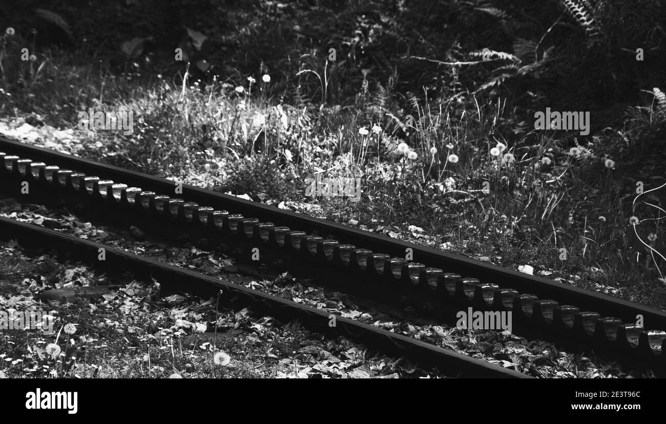 Zahnradbahn Hintergrund. La Rhune, Frankreich. Schwarzweiß-Foto. Stockfoto