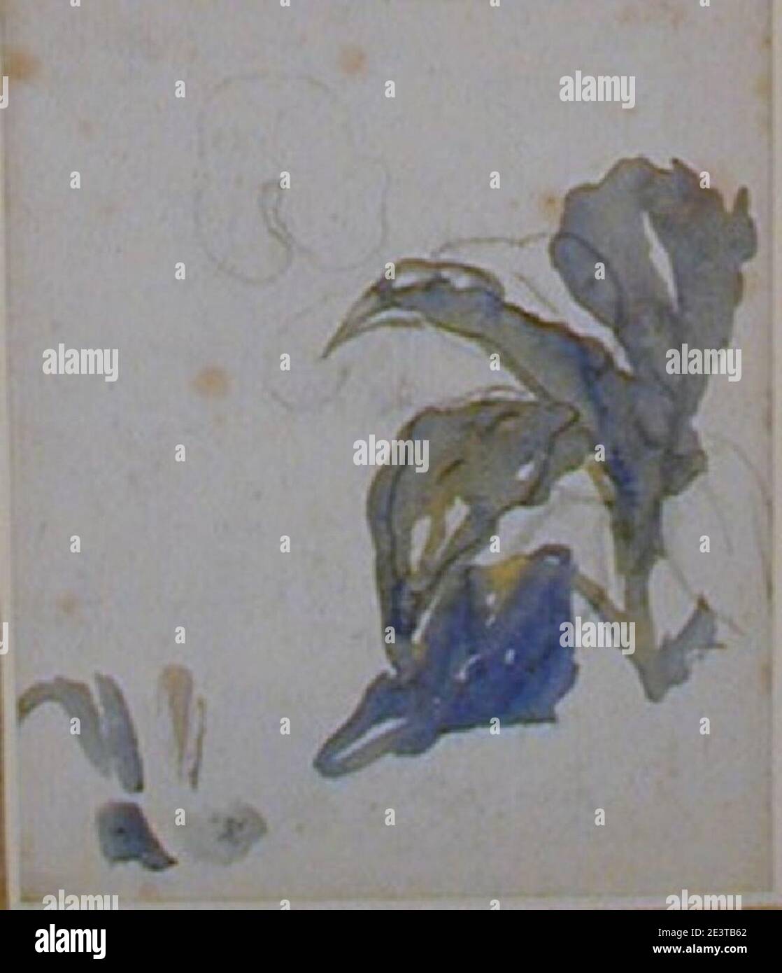 Manet - EINE Pflanze mit großen, langen Blättern, c. 1880 - 1883. Stockfoto