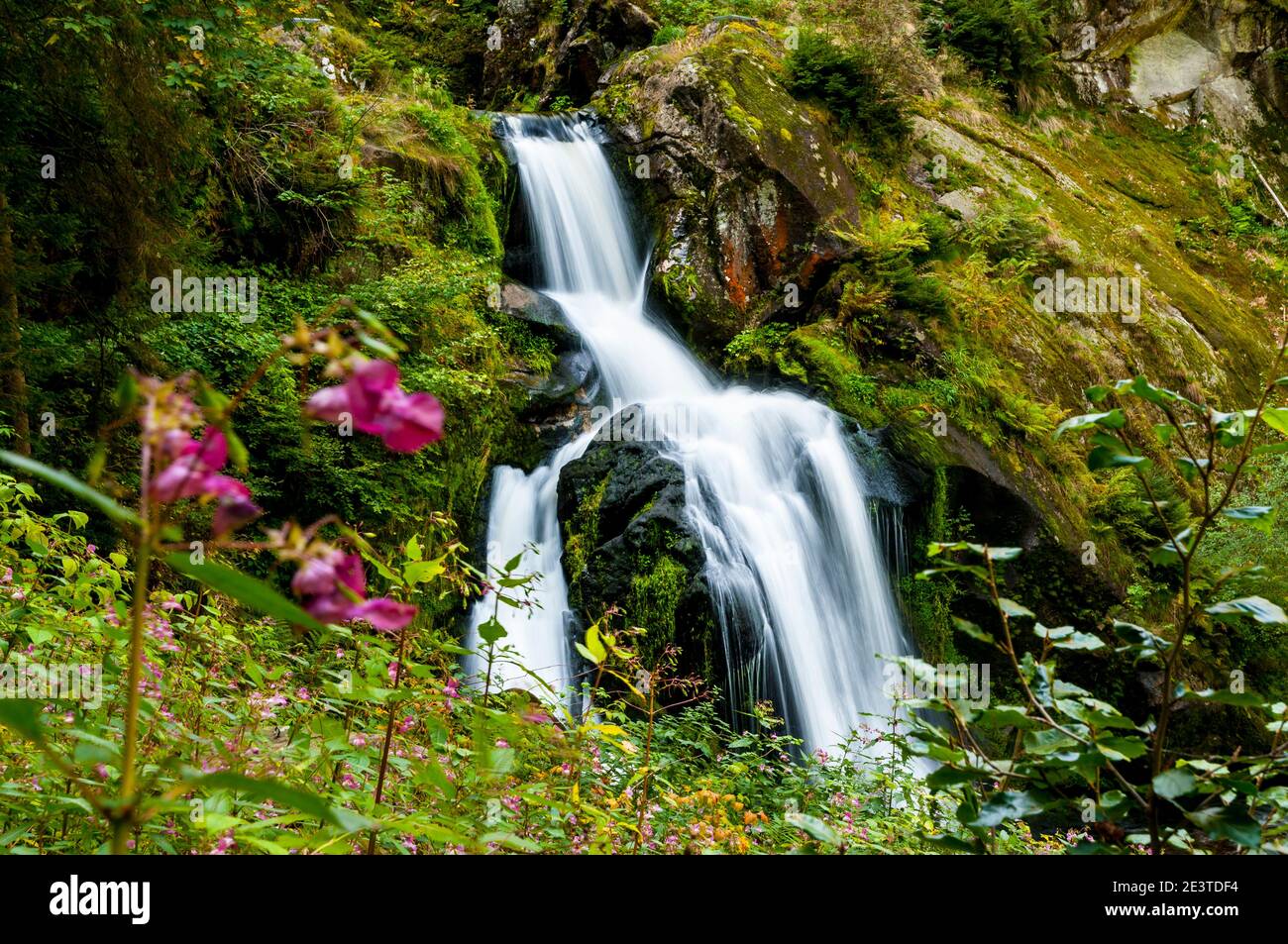 Ein Abschnitt von Deutschlands höchstem Wasserfall am Triberg im Schwarzwald. September. Stockfoto