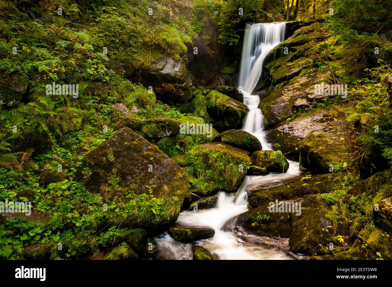 Ein Abschnitt von Deutschlands höchstem Wasserfall am Triberg im Schwarzwald. September. Stockfoto