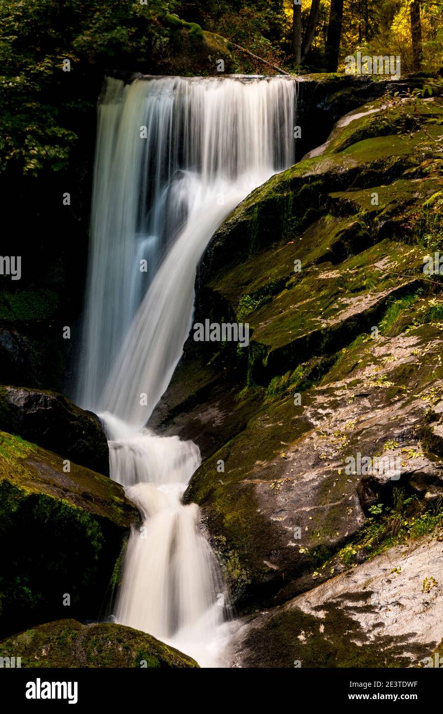 Ein Abschnitt von Deutschlands höchstem Wasserfall am Triberg im Schwarzwald. September. Stockfoto