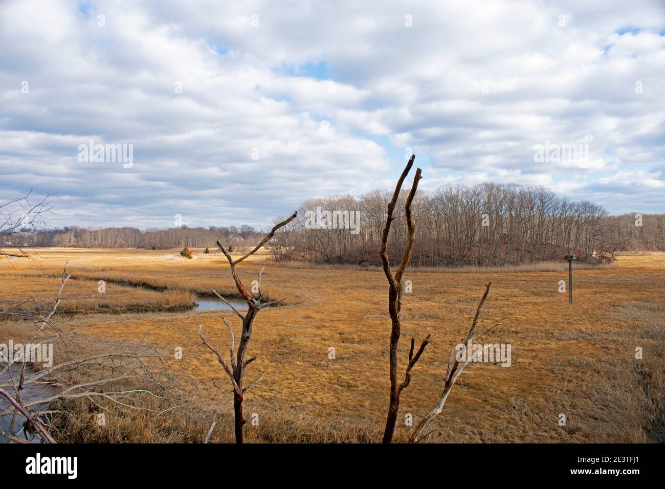 Blick auf Marschland und verwinkelte Bäche entlang des Arrowsmith Trail im Cheesequake State Park, New Jersey, USA -03 Stockfoto