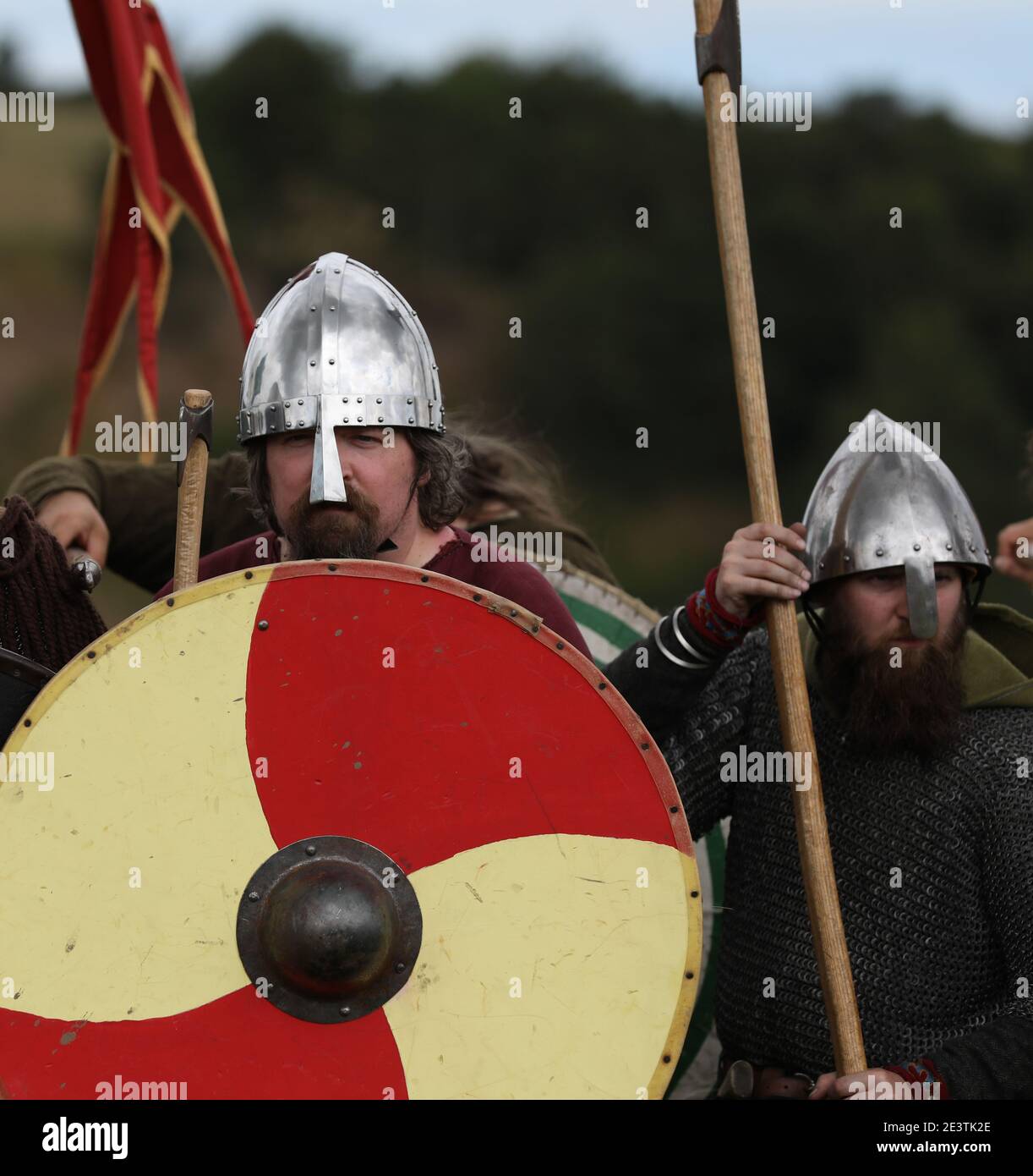 Viking shield Wall Stockfoto