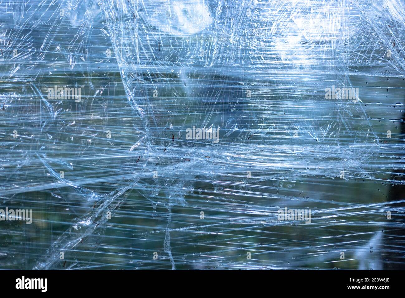 Plastikfolie auf Bäumen im Wald Stockfoto