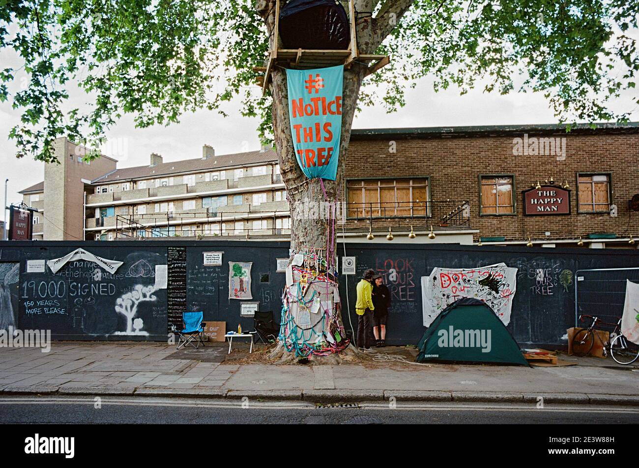 Der Happy man Tree Protest in Woodberry Down, Hackney, North London UK, im Sommer 2020, vor der Entfernung des Baumes. Stockfoto