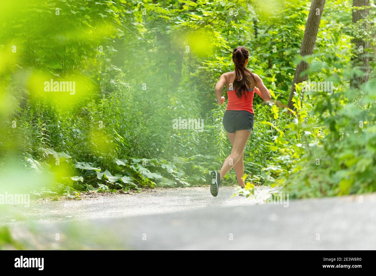 Frau Läuferin läuft in den grünen Wäldern Sommer aktiven Sport Lifestyle Stockfoto