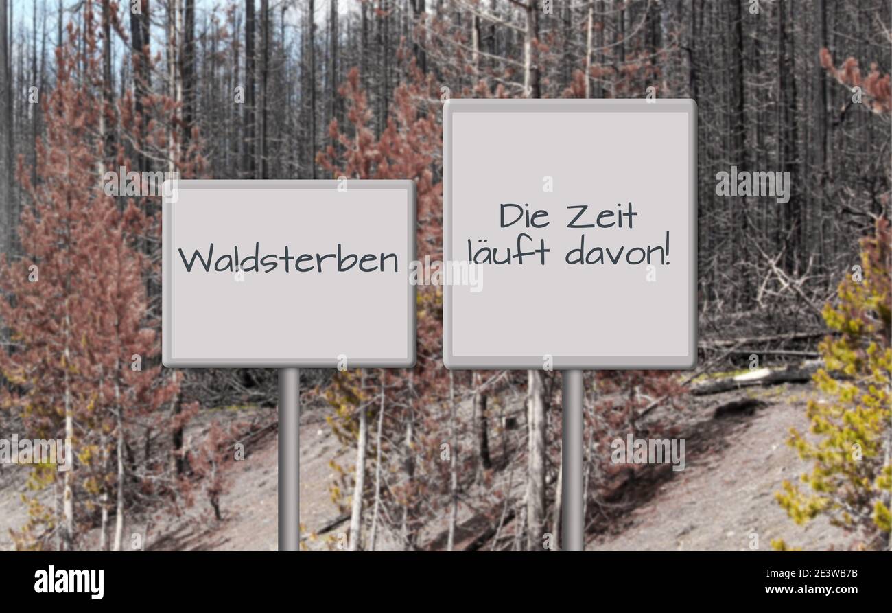 Banner mit Eieruhr, Hinweis auf das Waldsterben und Text: Die Zeit läuft davon. Stockfoto