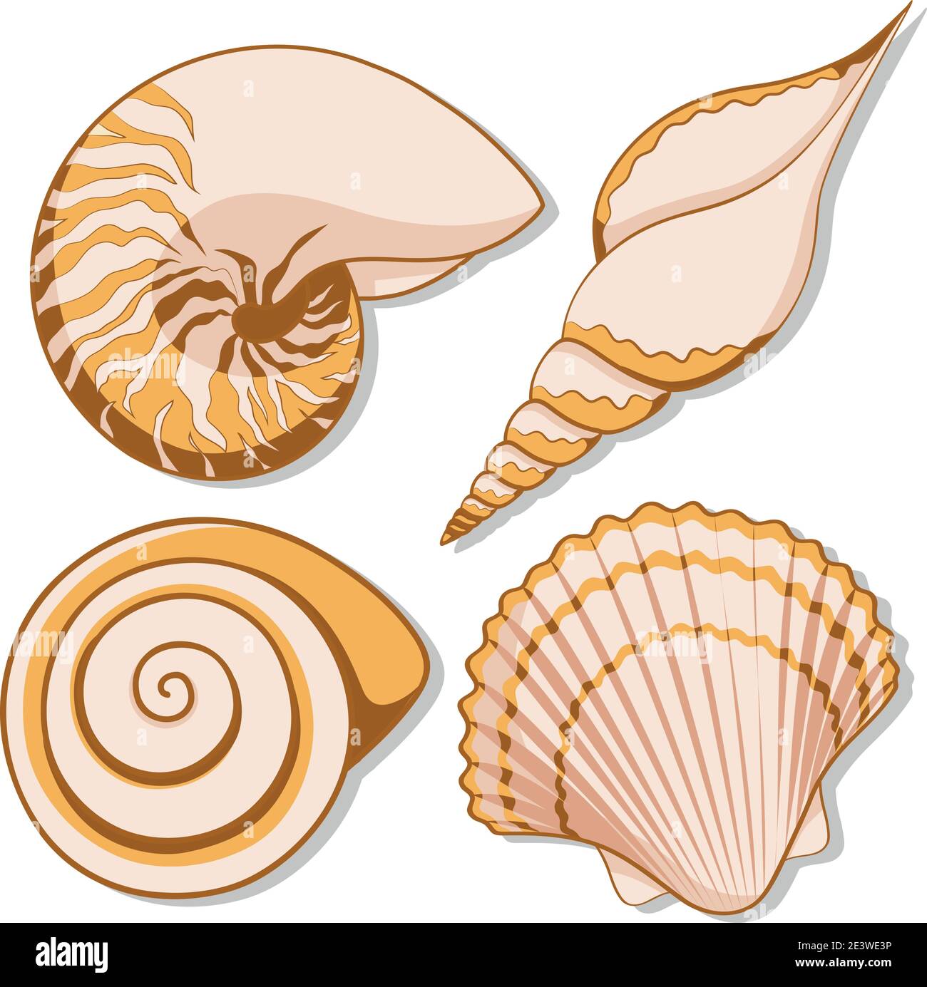 Set von farbigen Grafik Meeresmuscheln. Isolierte Objekte mit Schatten auf weißem Hintergrund. Stock Vektor