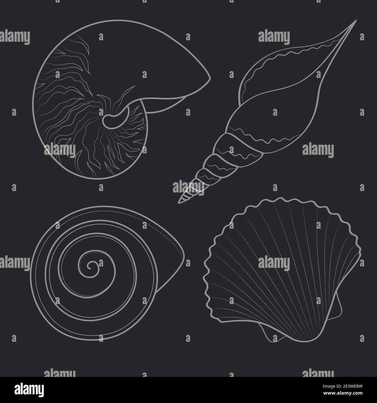 Set von schwarz-weißen Grafik-Muscheln. Isolierte Objekte auf einem weißen. Vektorgrafik. Stock Vektor