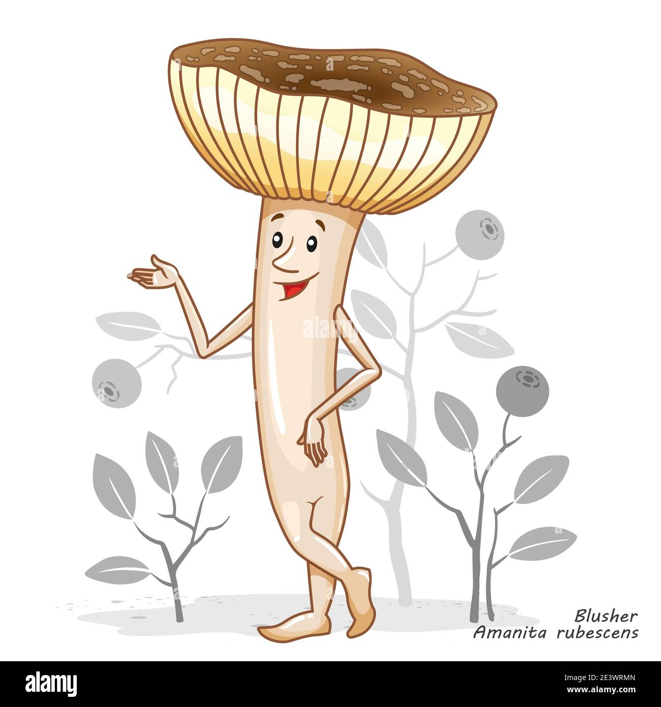 Vector Pilze isoliert auf weiß. Lustige Charakter-Design in einem Cartoon-Stil. Champignon mit essbaren Pilzen. Aufdruck für Kinderkleidung Stock Vektor