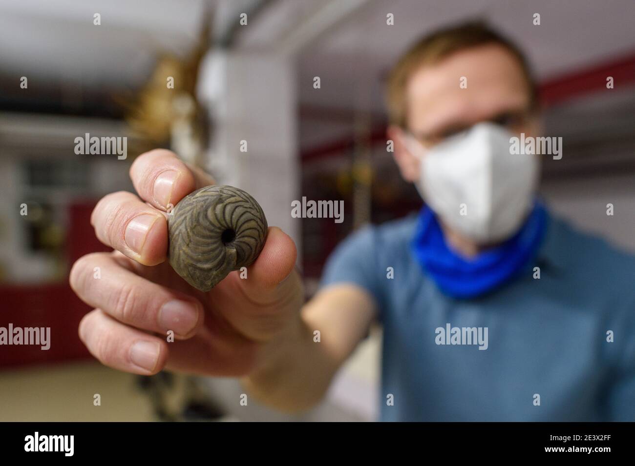 20. Januar 2021, Sachsen-Anhalt, Magdeburg: Michael Buchwitz, Leiter der Abteilung Paläontologie des Museums für Naturkunde Magdeburg zeigt in der zoologischen Präparationswerkstatt eine 330 Millionen Jahre alte Hülle eines Goniatiten. Aufgrund der Coronavirus-Pandemie ist das Museum derzeit für Besucher geschlossen. Dennoch ist die Arbeit an der neuen Sonderausstellung 'die Inerals des Lebens - das Geheimnis der Muschel' im Gange. Die Eröffnung der Ausstellung ist für den Sommer geplant. Mit rund 300 Exponaten wird es die Entwicklung der Schalenbildung erklären und Modelle und Exemplare von Muscheln zeigen, die existieren Stockfoto