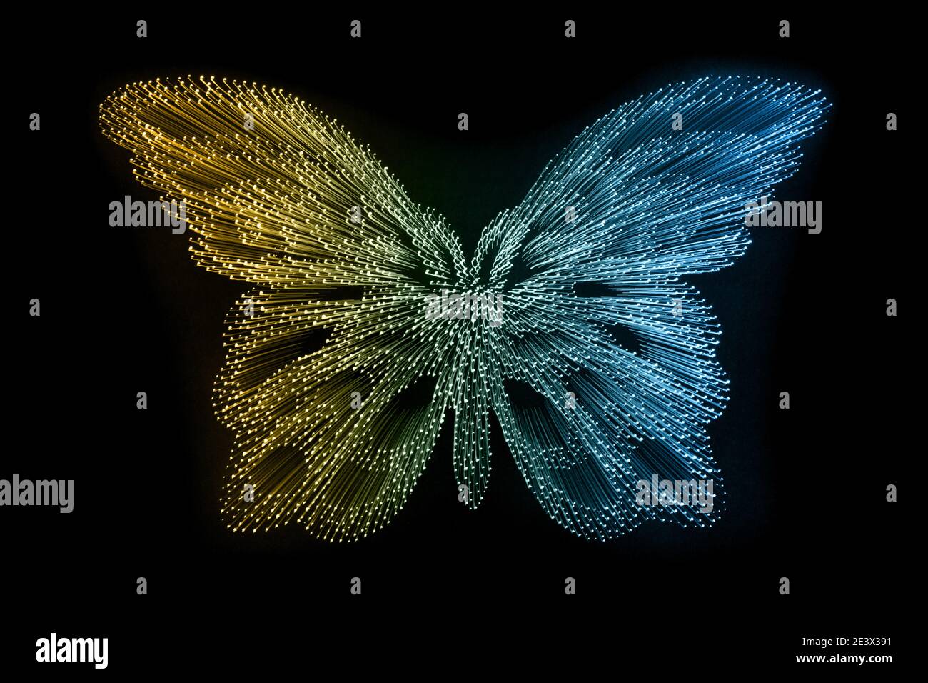 Abstrakte leuchtende Faseroptik-Schmetterlingsform isoliert auf schwarzem Hintergrund Stockfoto