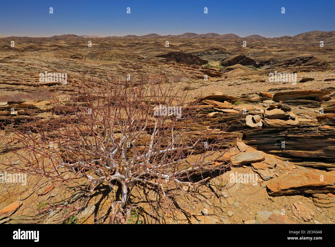 Namibia Wüste, Trockenzeit in Afrika. Stein und Felsen in den Bergen mit verdorrter Vegetation. Reisen in Namibia. Afrika Landschaft mit blauem Himmel. Stockfoto